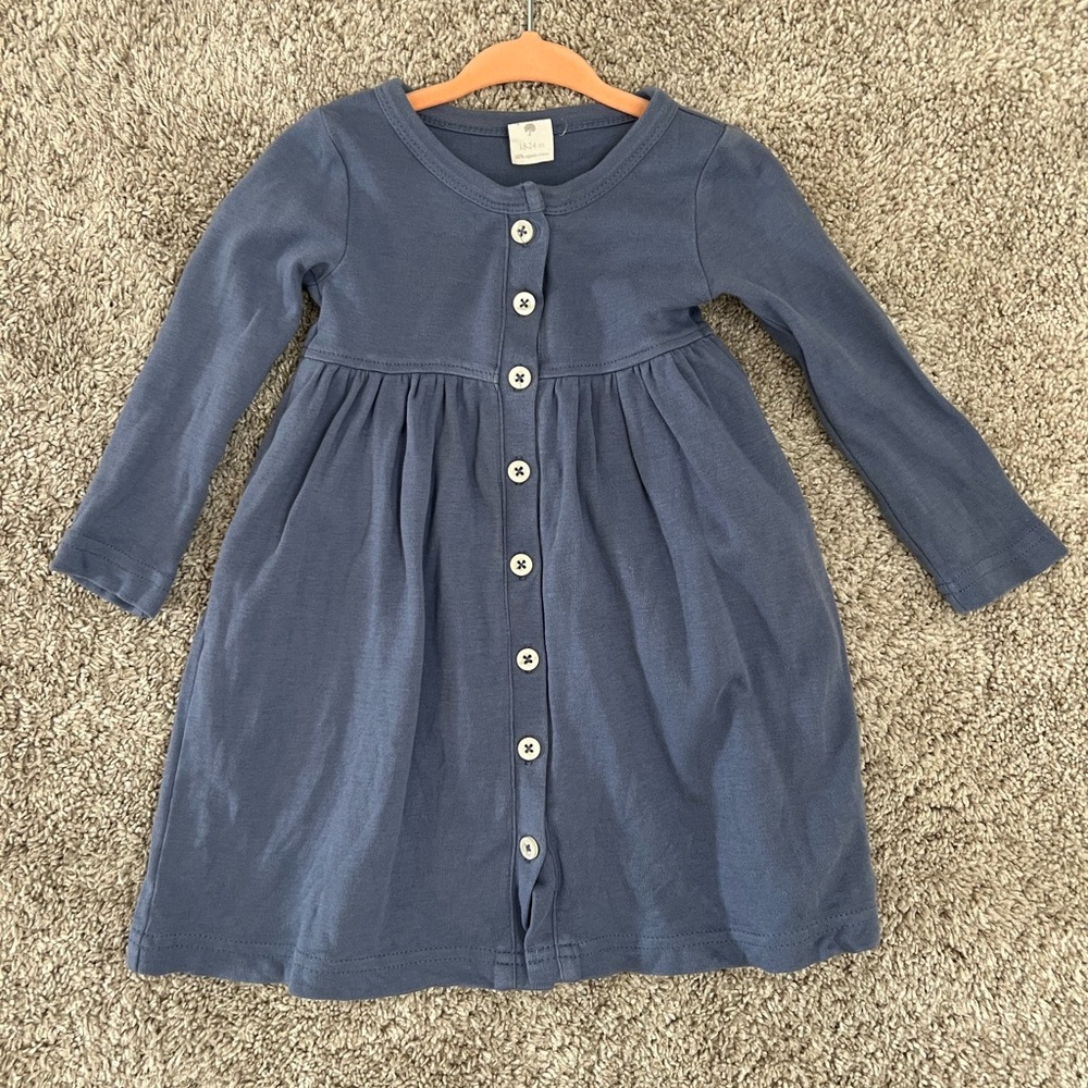 Blue Pleated Buttoned Long Sleeve Kate Quinn Dress